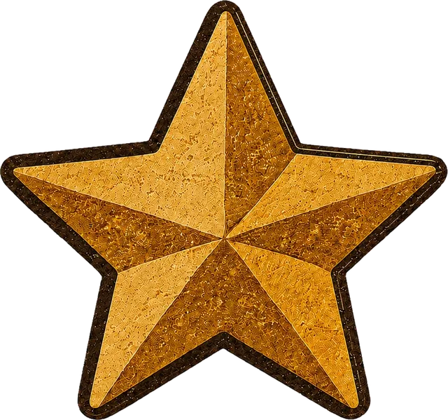 Reviews & Ranking — a five-star reputation